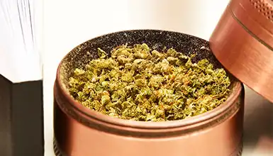 Frass Box Categories Accessories