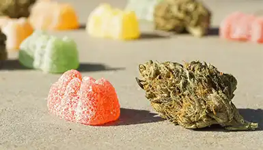 Frass Box Categories Edibles
