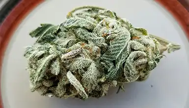 Frass Box Categories Flower