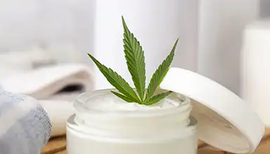 Frass Box Categories Topicals